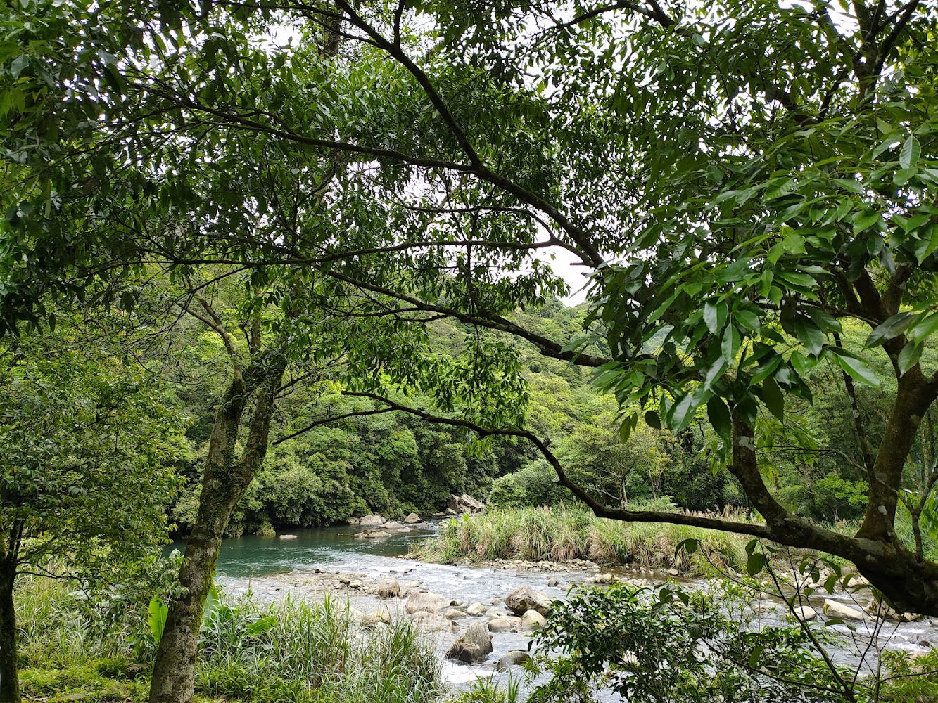 淡蘭古道灣潭段森林與清澈小溪