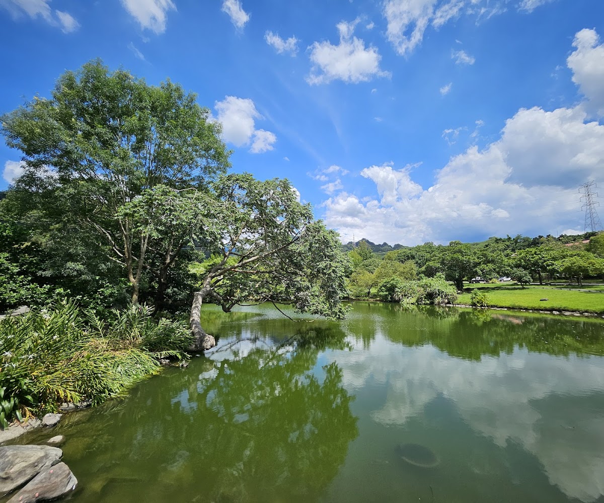 綠樹環繞的池塘與藍天白雲倒影