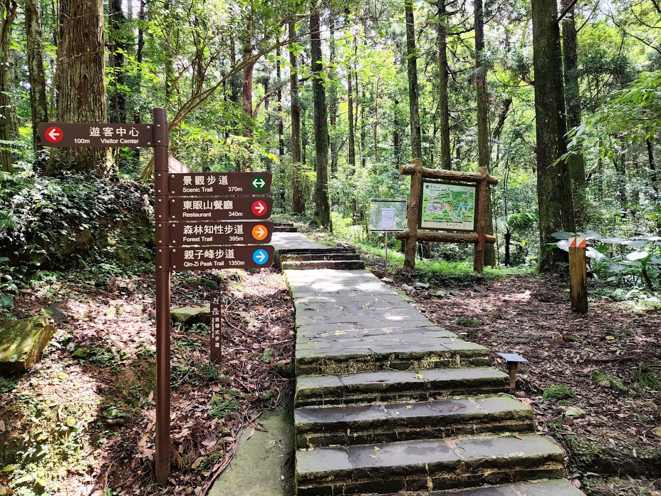 森林步道起點石階與指示牌