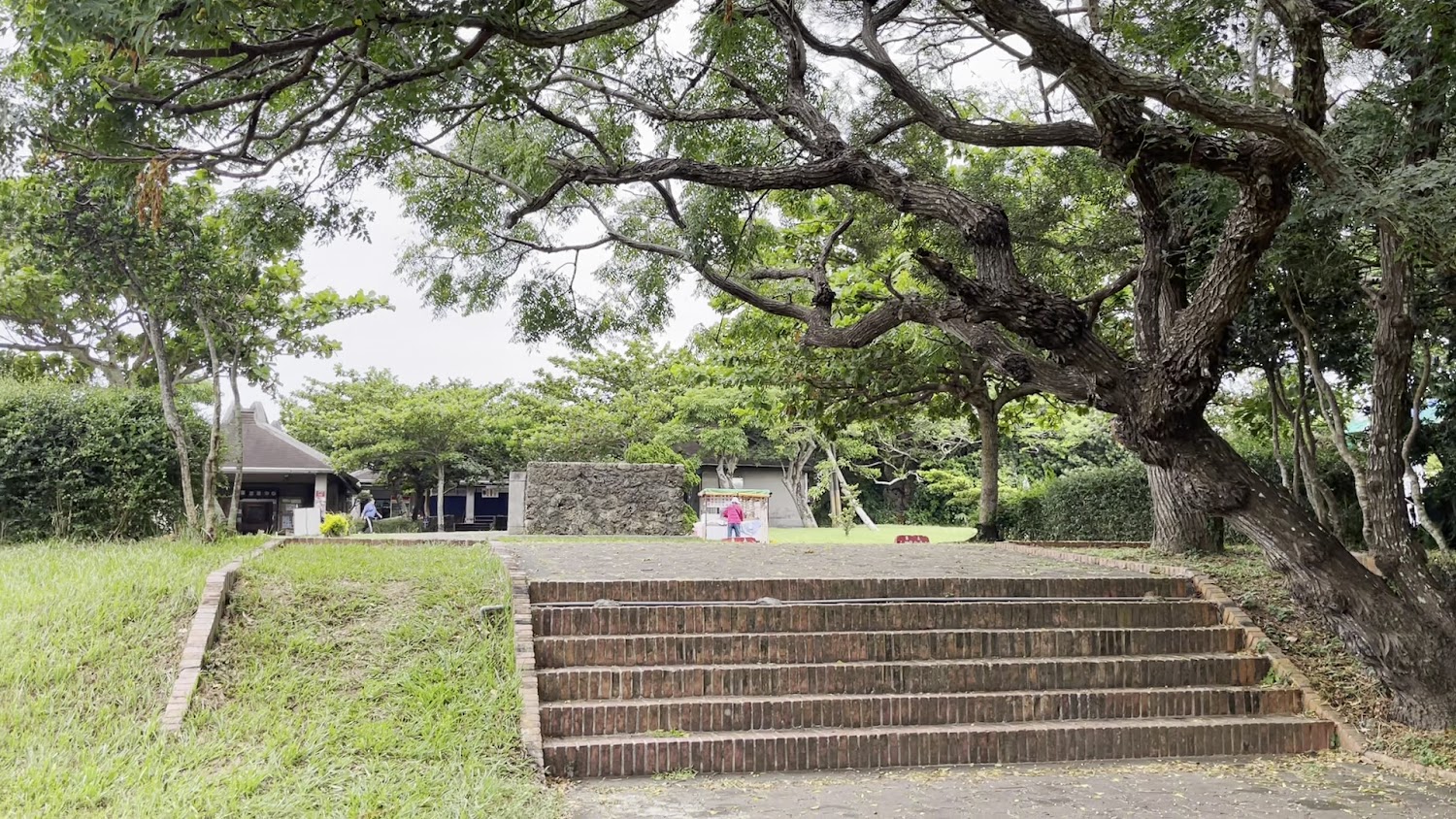 草地階梯與大樹平台