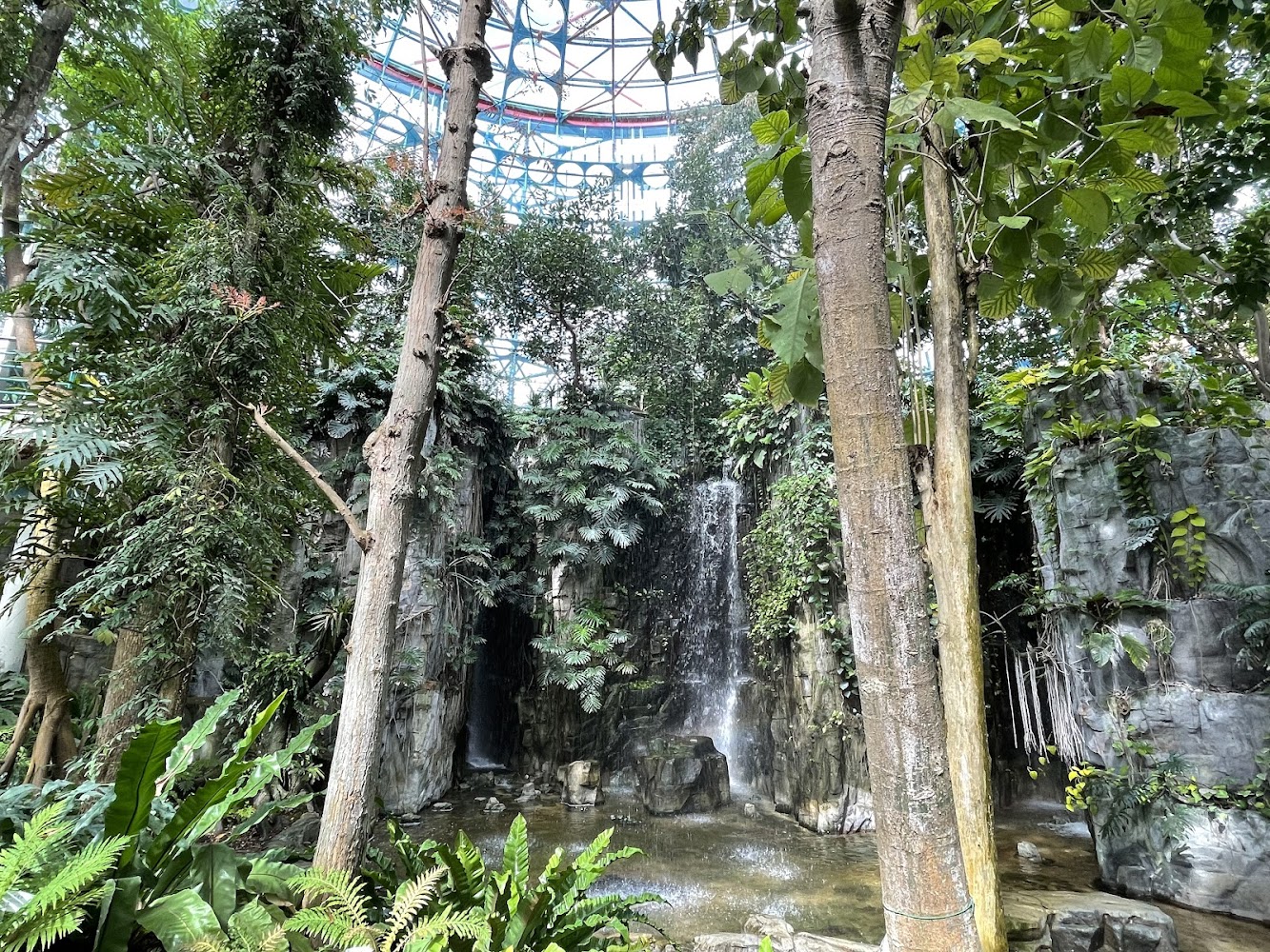 植物園熱帶雨林溫室內人工瀑布與熱帶植栽