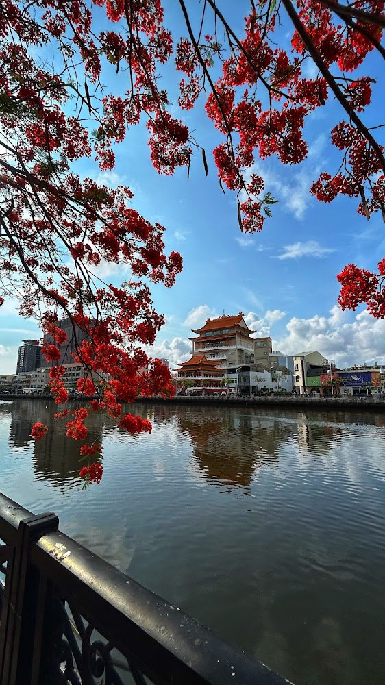 安平運河鳳凰花與建築倒影