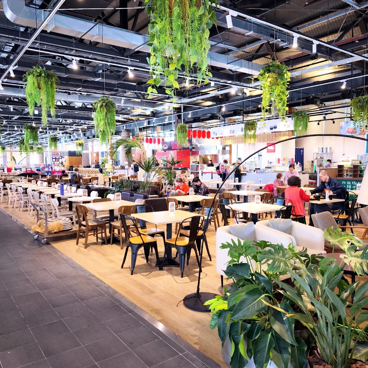 高雄新濱町海洋廚房鼓山魚市場寬闊室內用餐空間垂掛綠植木質桌椅