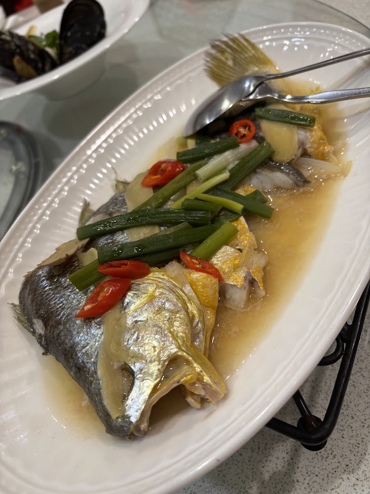 圖片中是一道清蒸魚料理，魚身上鋪有蔥段、薑片與紅辣椒，並淋上醬汁，整體擺盤精緻且色彩豐富，旁邊有一道貝類料理。