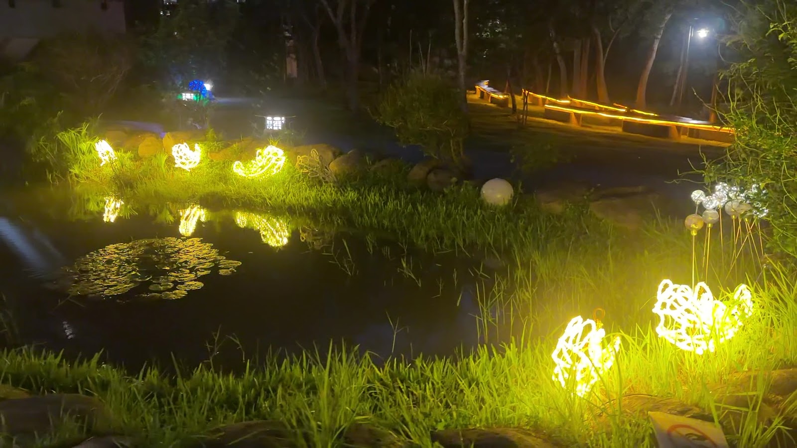谷關公園夜景,池塘旁黃色螢光燈飾裝置藝術,燈光倒映在蓮葉水面