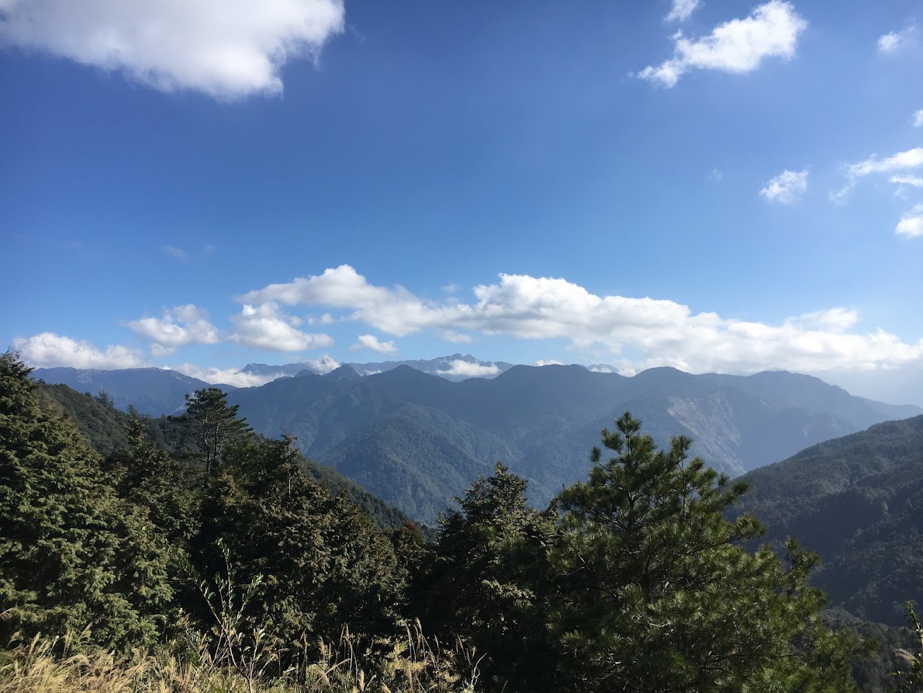 觀霧管理站山脈景觀