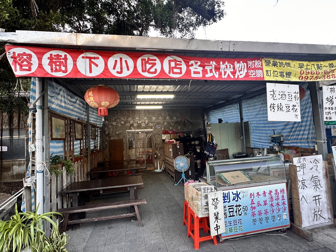 津沙村榕樹下快炒店外觀，在樹下的小吃店掛著紅燈籠與手寫招牌