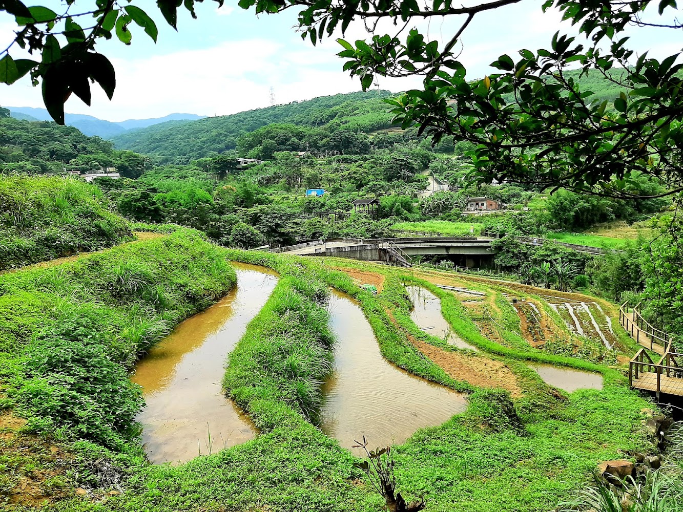 三芝周邊梯田景致與青翠山丘