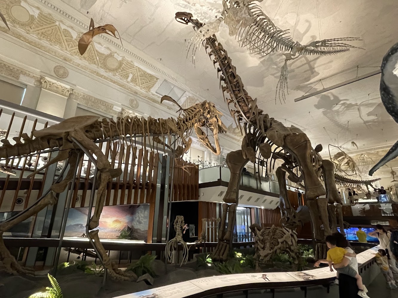 國立臺灣博物館古生物館大廳中的大型恐龍化石展示