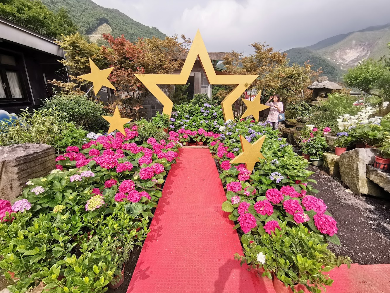 紅地毯步道兩旁盛開繡球花與金色星星裝飾