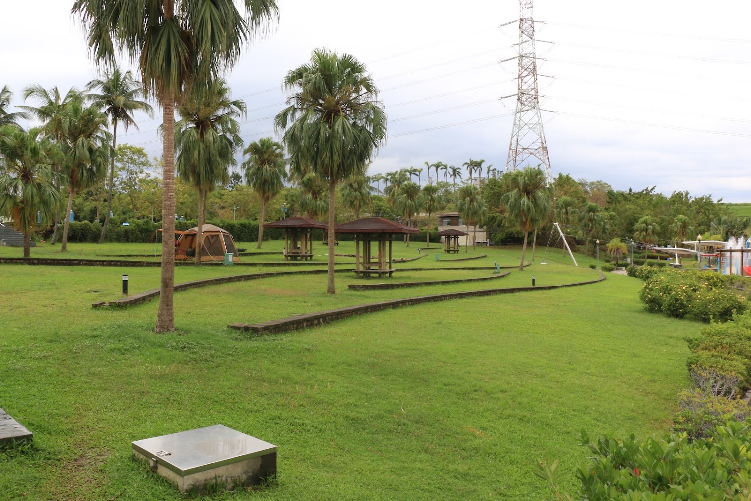 烏山頭水庫親水公園大片草坪與椰子樹景觀
