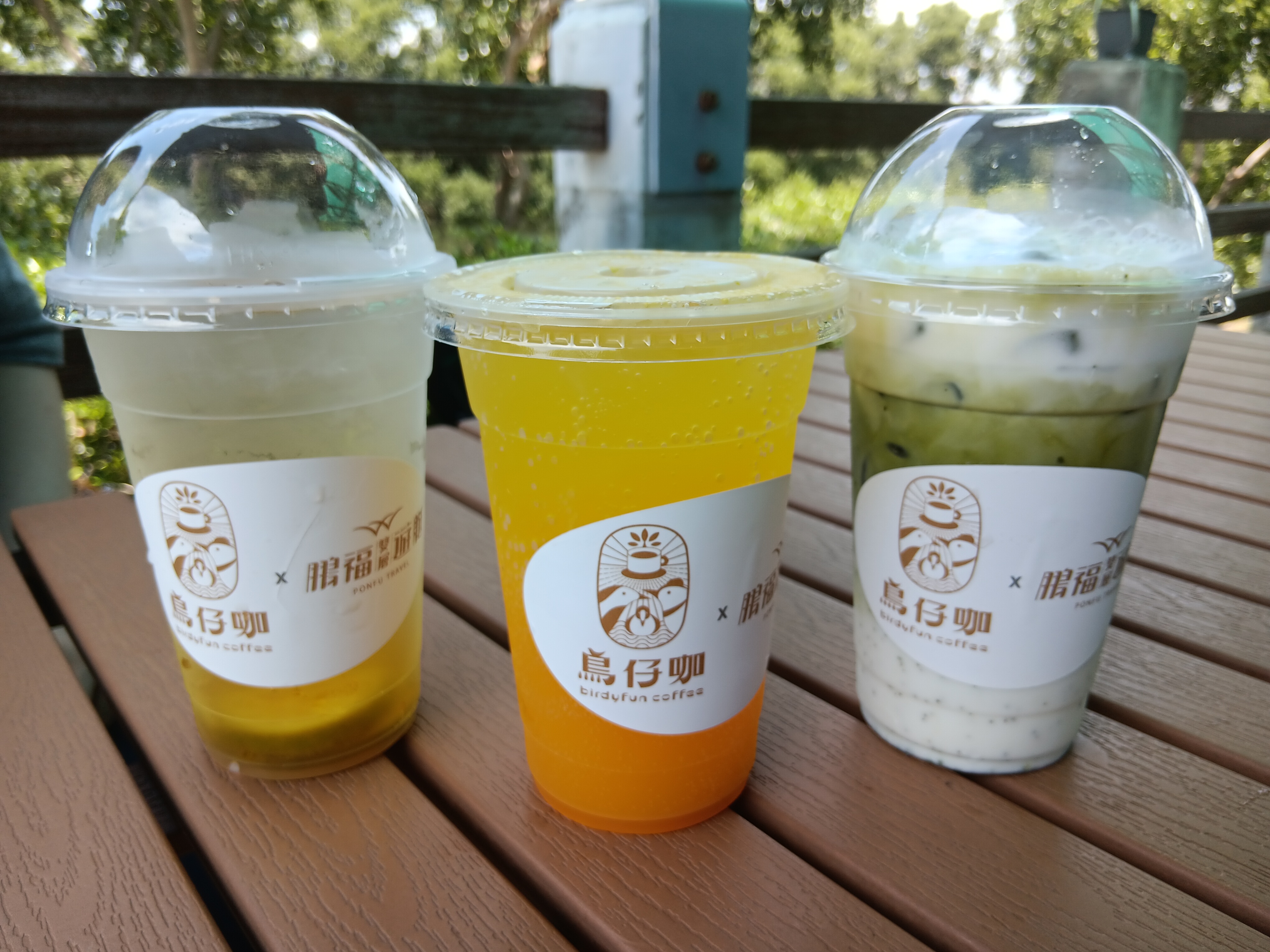 三杯鳥仔咖特色飲品
