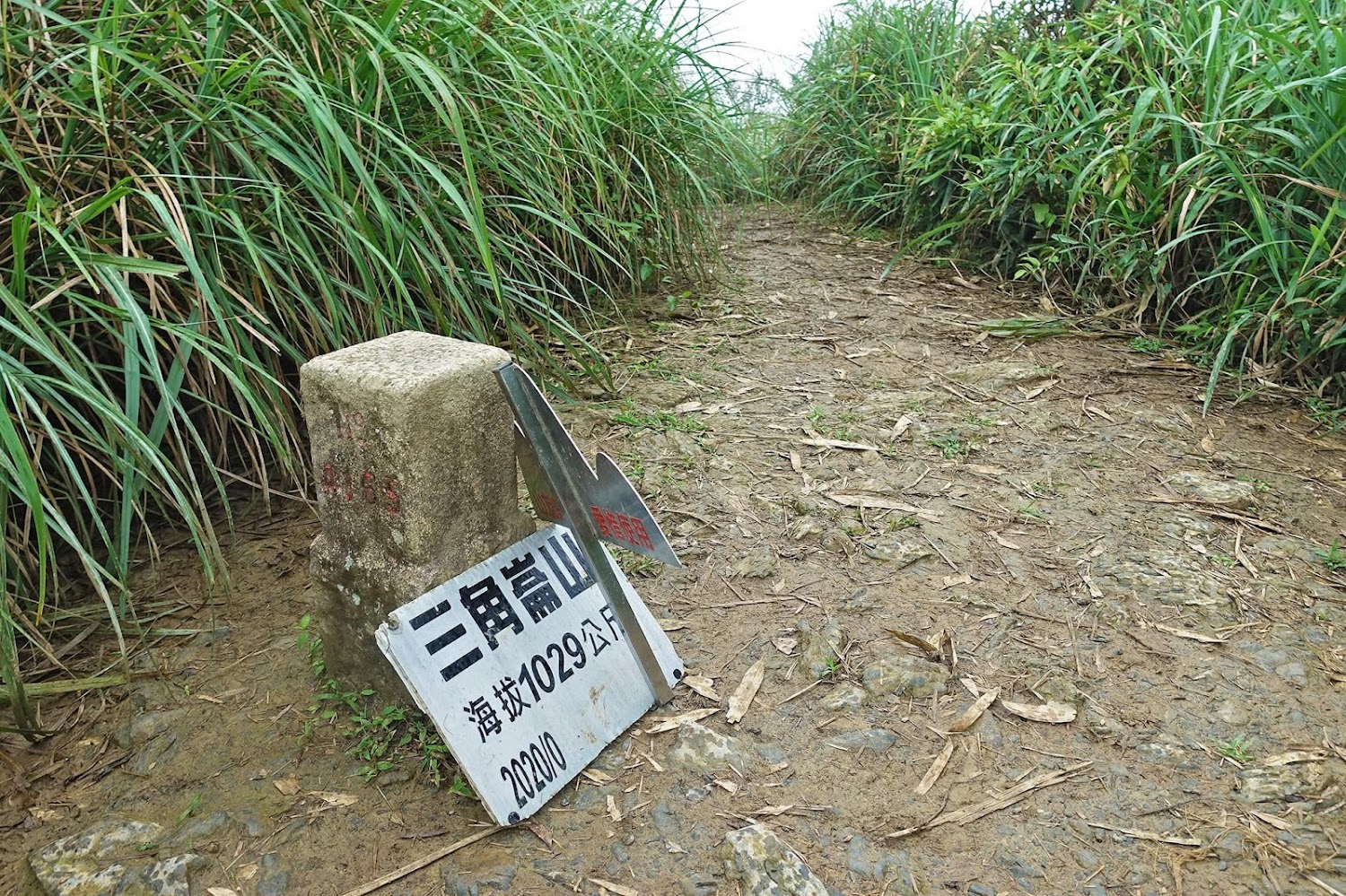 三角崙山三角點石碑與指示牌