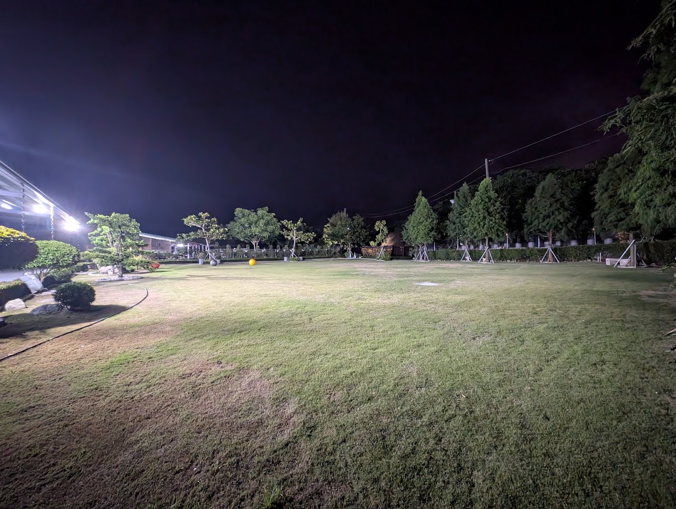 葉媽的莊園夜間草地與樹景