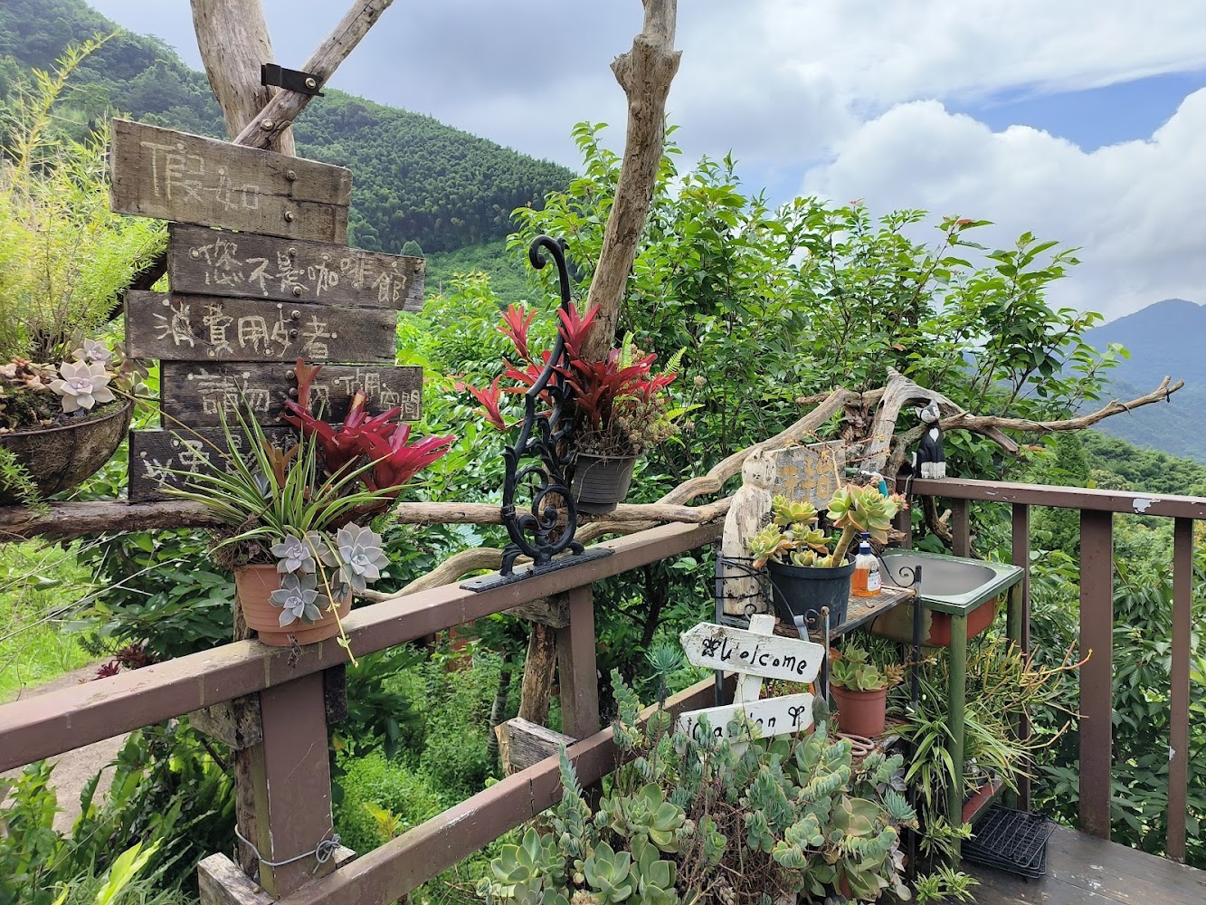 戶外陽台擺滿多肉植物與手寫木牌