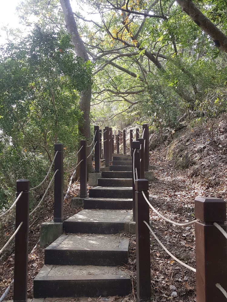 大坑七號登山步道森林石階步道與自然圍欄