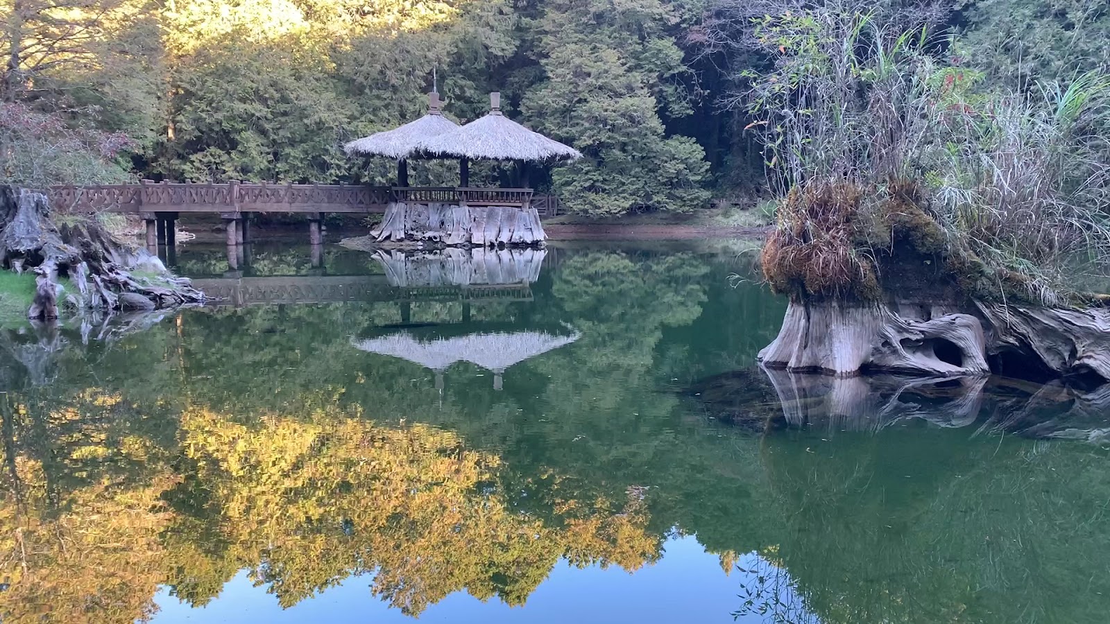 姊妹潭秋景，涼亭倒映湖面，右側金黃落葉與枯木點綴