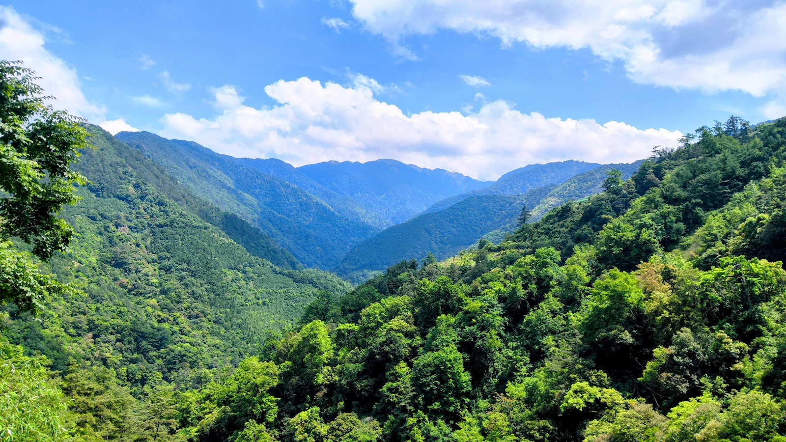 台14甲線合歡山沿途翠綠山谷全景，兩側山坡森林茂密