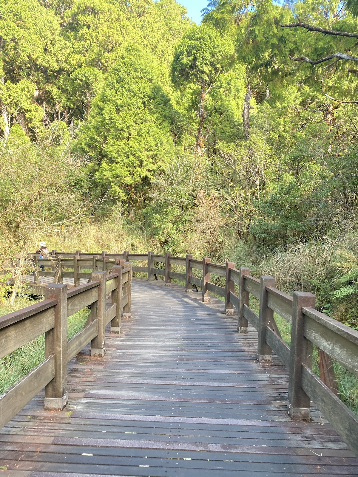 翠峰湖湖畔木棧道 宜蘭高山湖泊步道