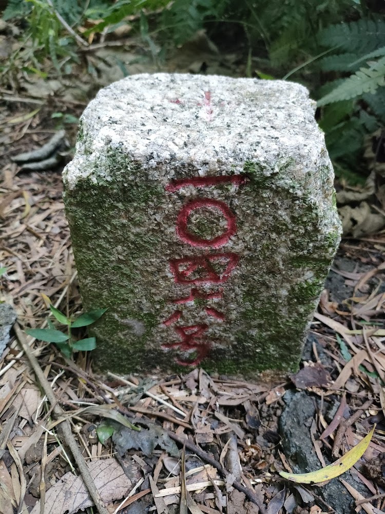 山林中的三角點基石