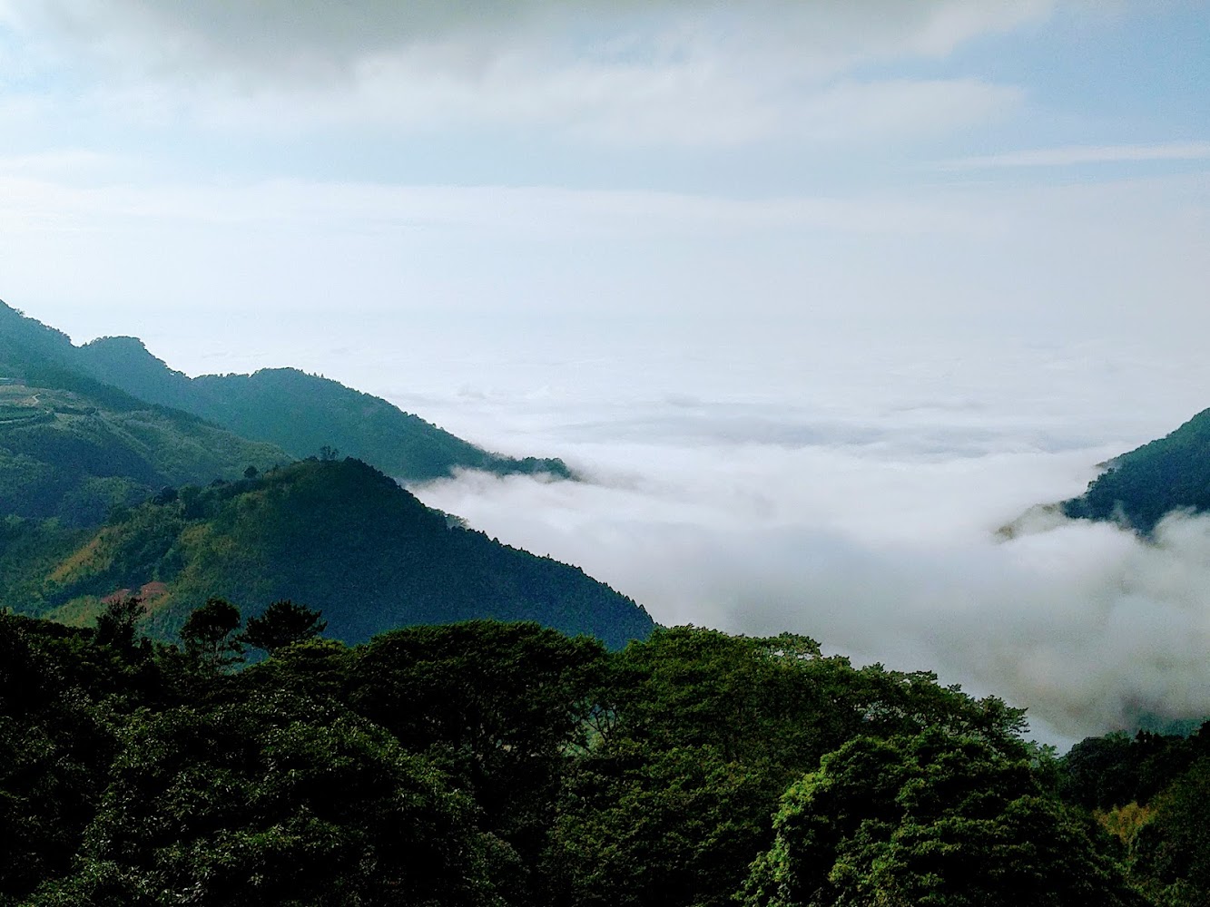 司馬限林道沿線山巒與雲海景觀