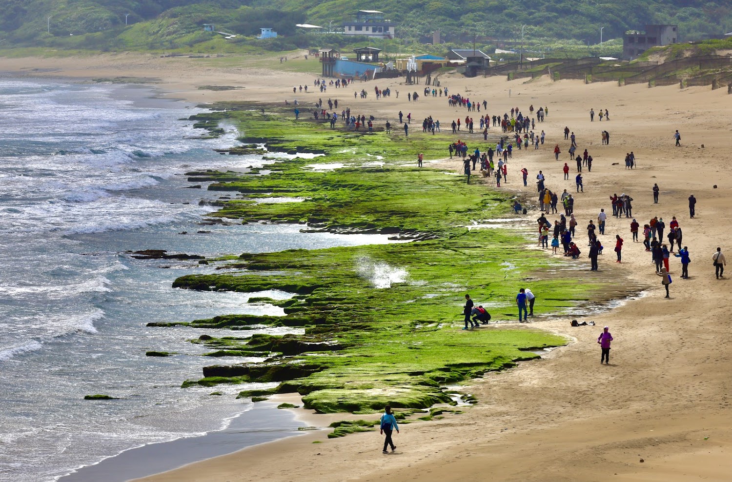 老梅綠石槽海邊人潮與綠色海藻地貌