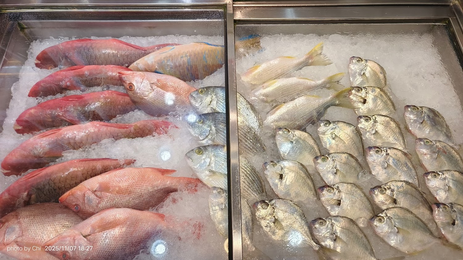 冰櫃中的新鮮魚貨