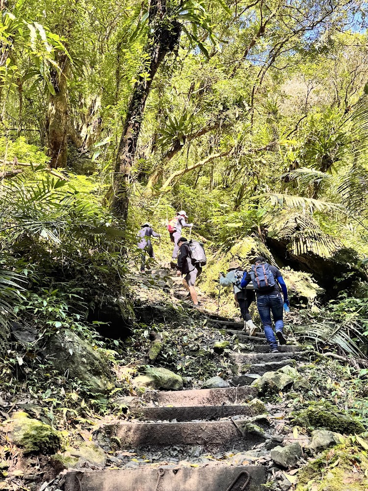 三角崙山森林石階健行路線