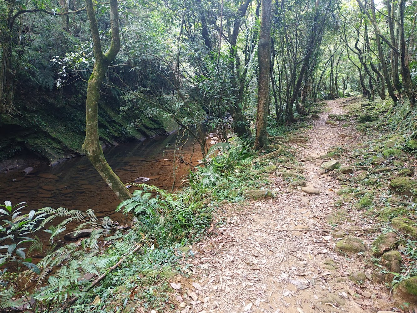 虎霸潭森林小徑與溪流步道