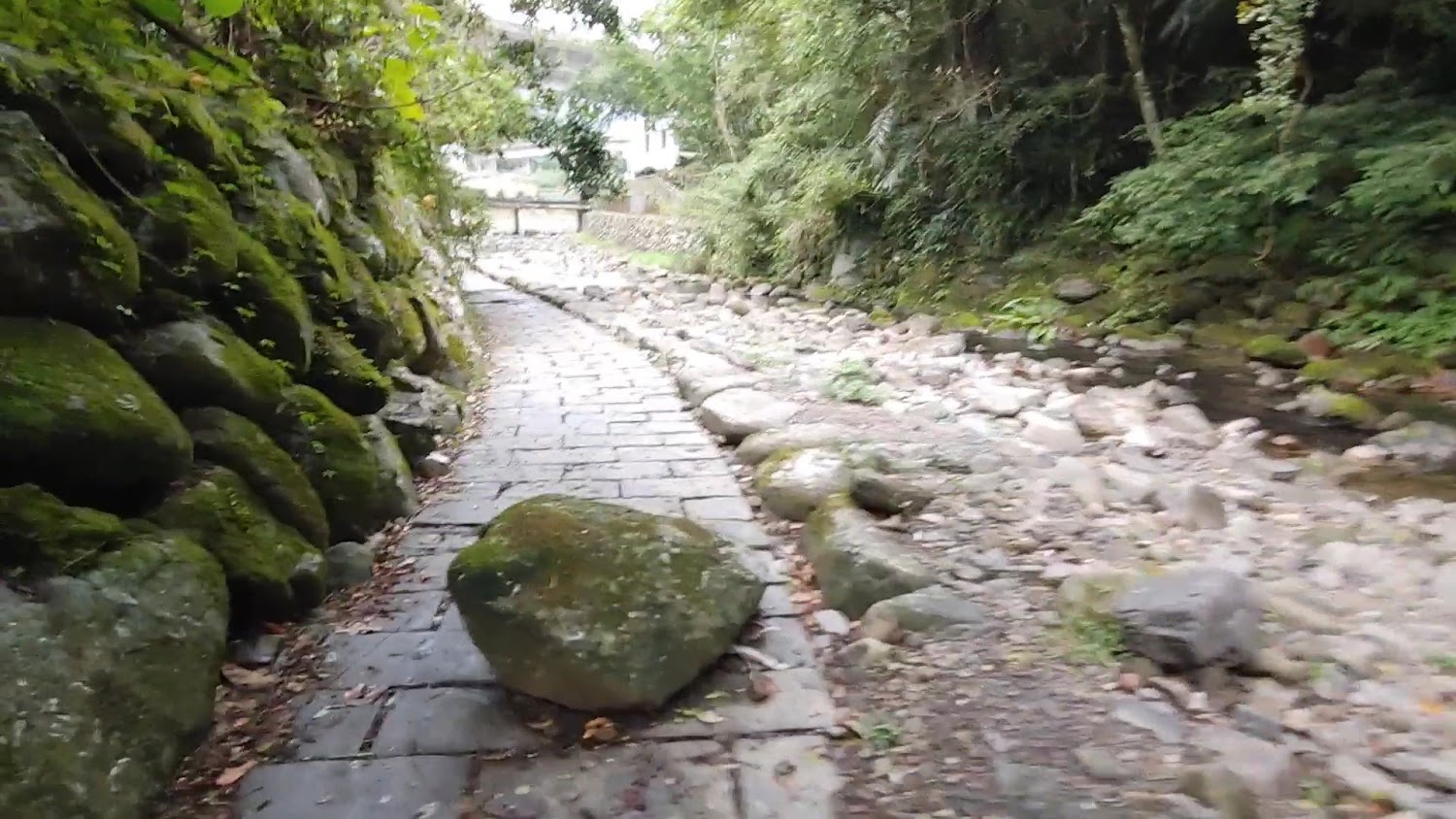 下坑子口溪親水遊憩區青苔石牆旁石板小徑