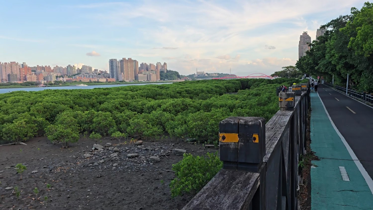 八里左岸自行車道河堤步道與紅樹林景色