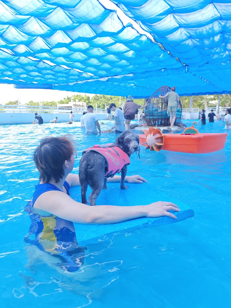 GoGo WaterWorld 狗狗與主人共游