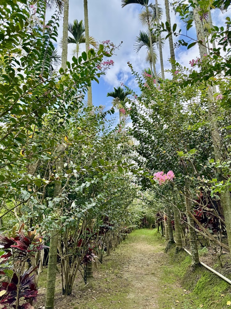 仙徠山莊景觀餐廳花木步道景色