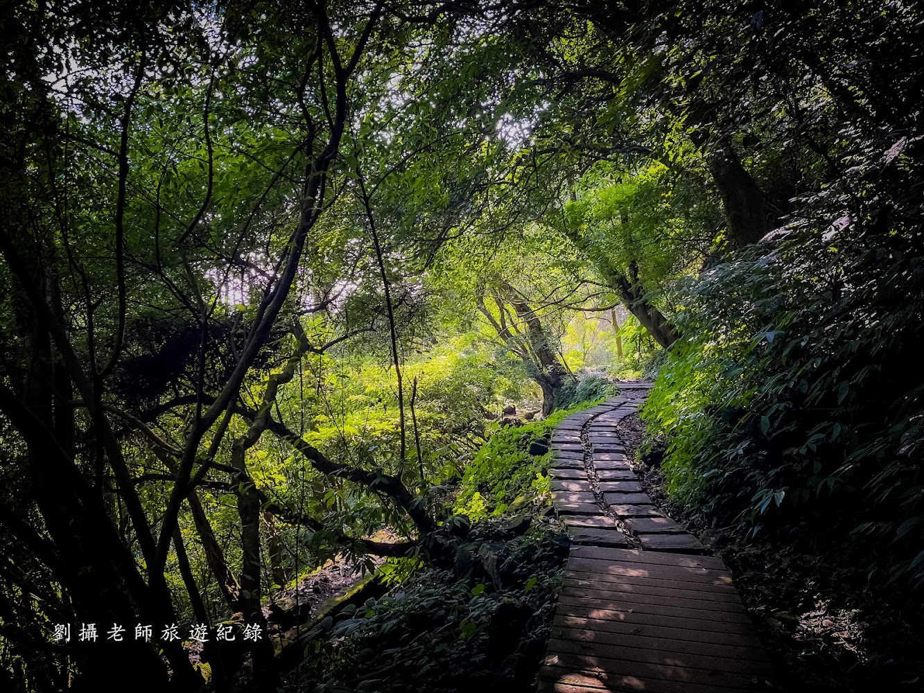 木棧步道穿過森林