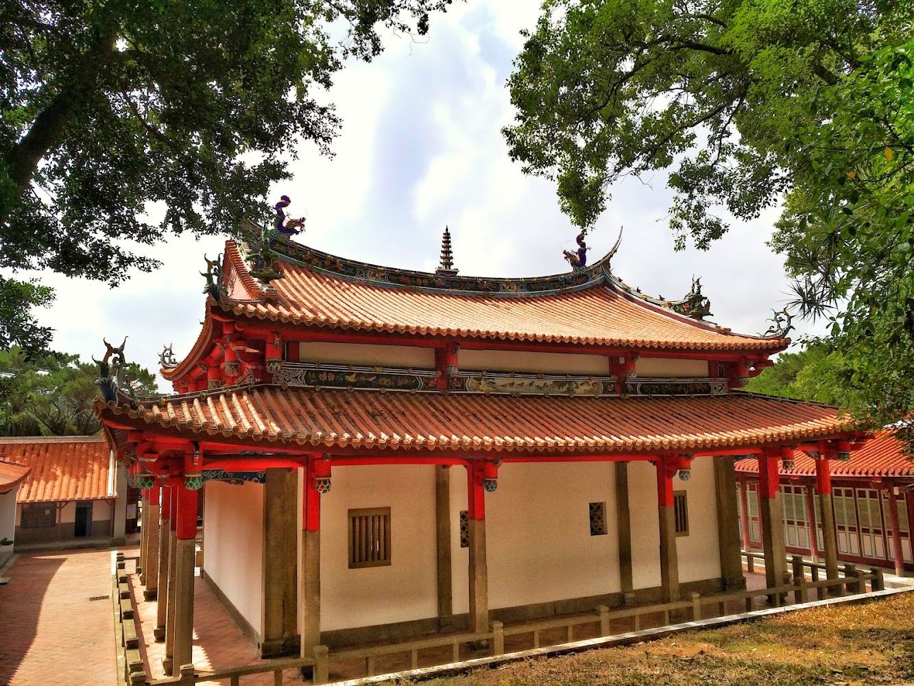 新竹市孔廟建築外觀與大樹