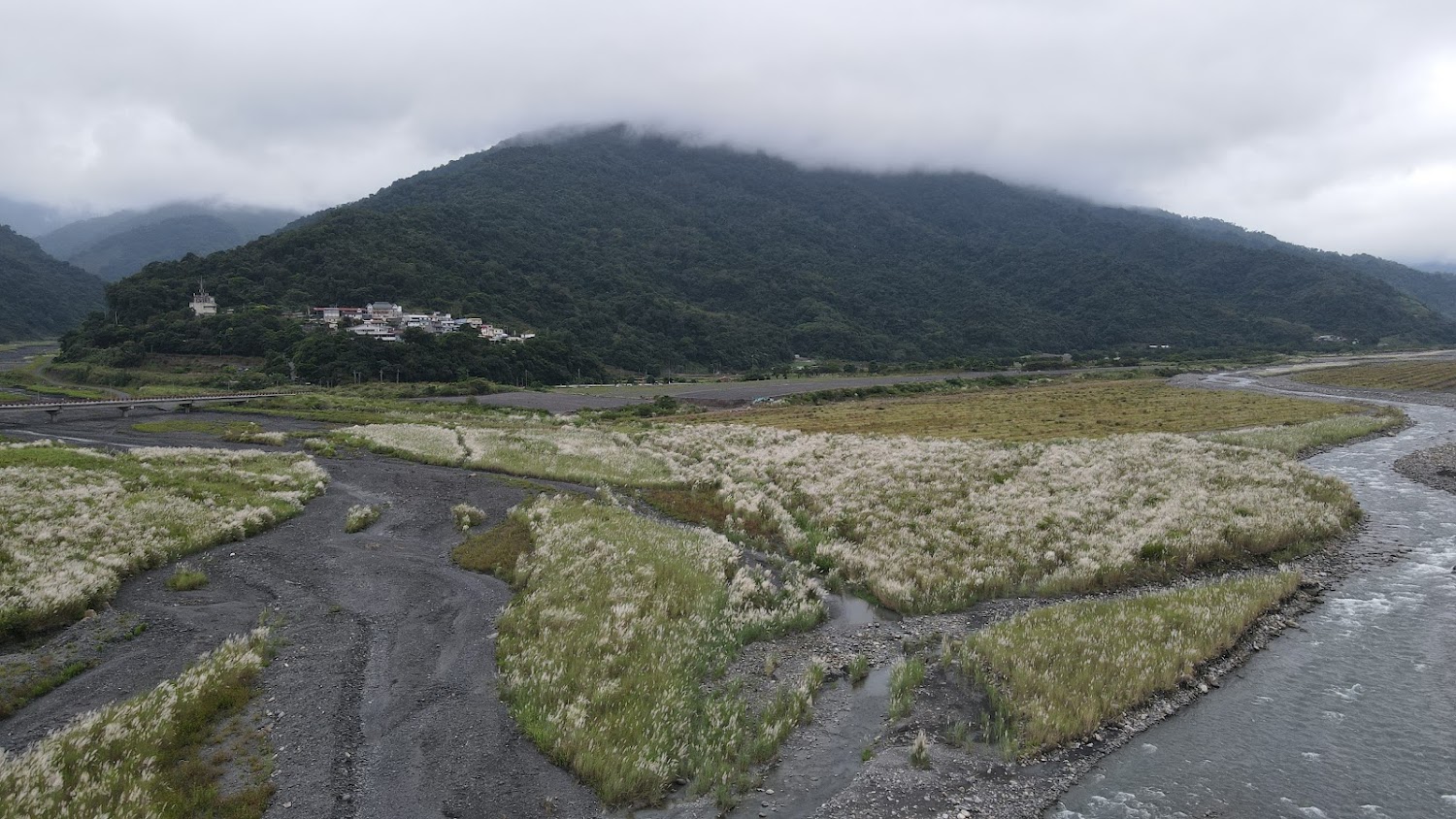 蘭陽溪河灘與芒草景色