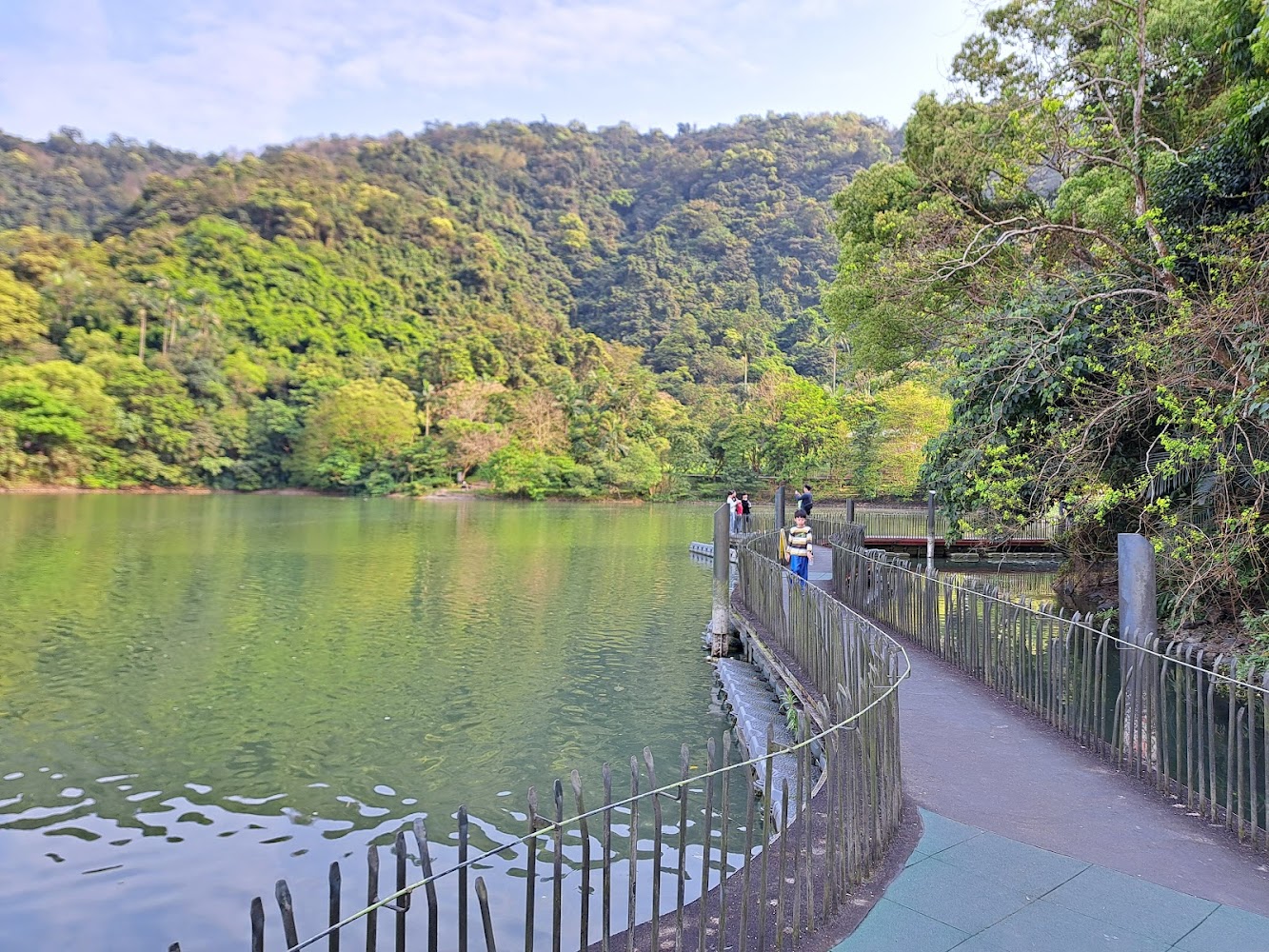 梅花湖彎曲步道與森林山丘