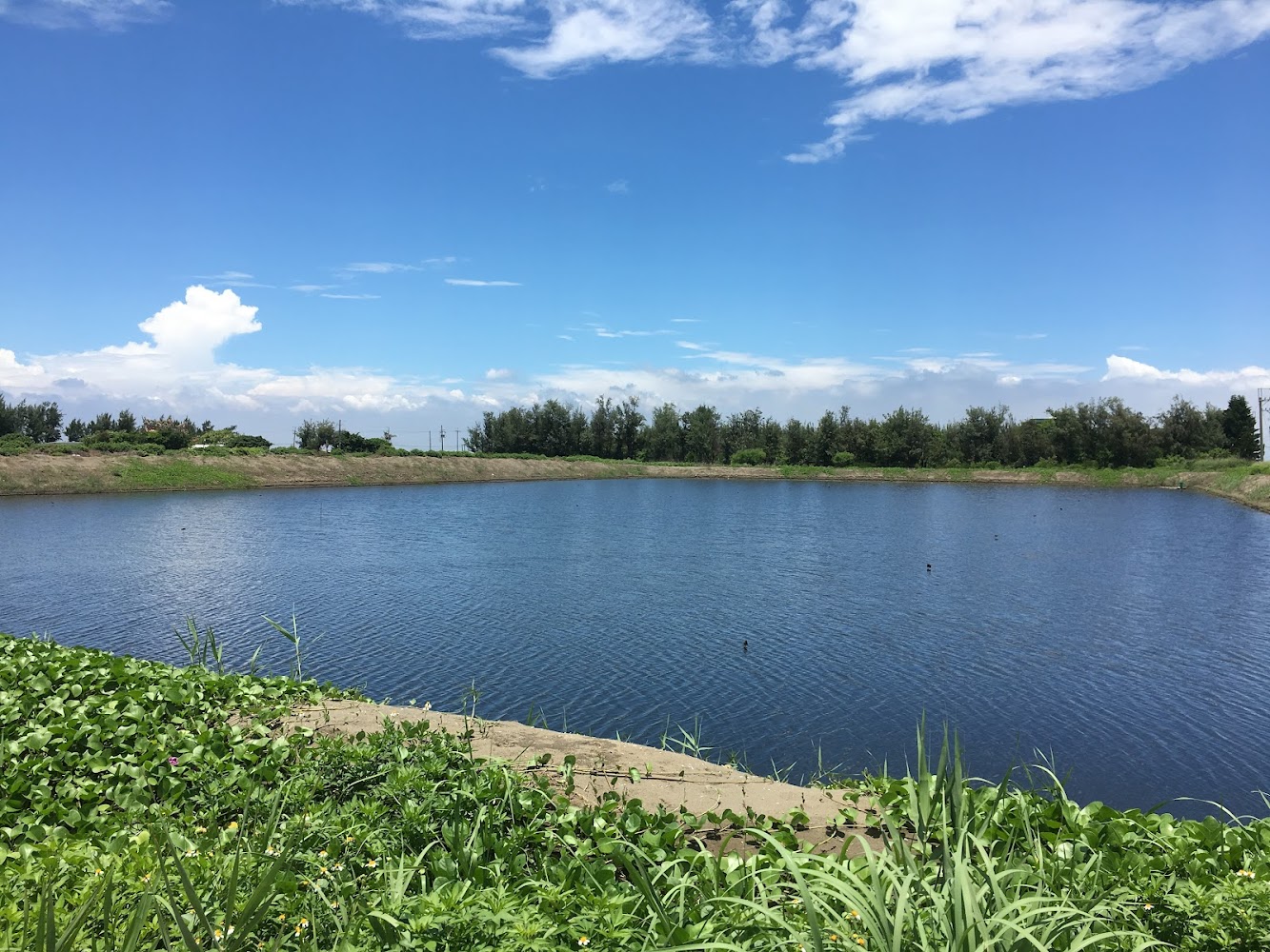 羽堤生態漁場湖景
