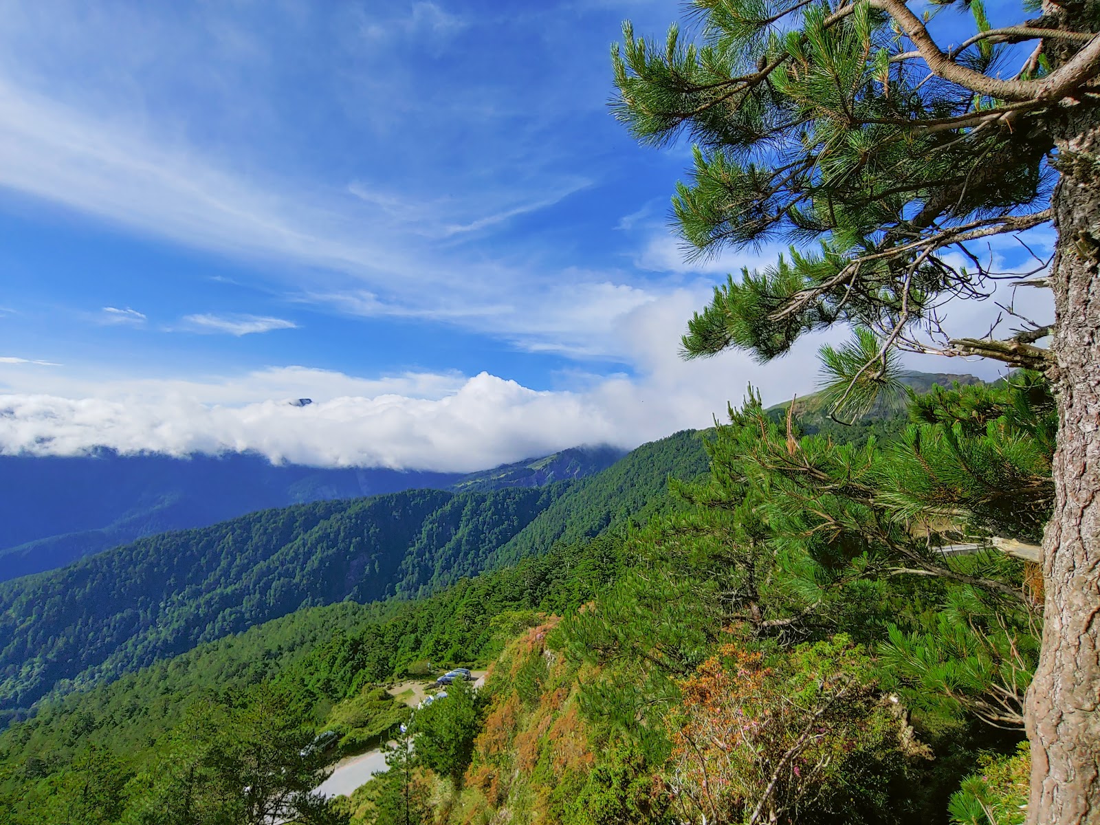 太魯閣國家公園山林鳥瞰景色，峽谷壯麗綠意盎然