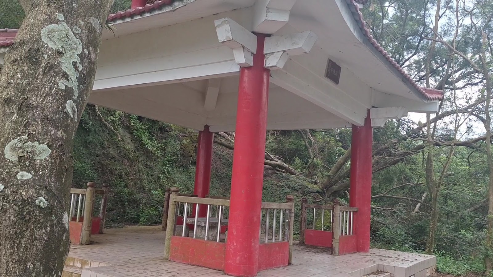 茂林賞蝶步道 自然生態