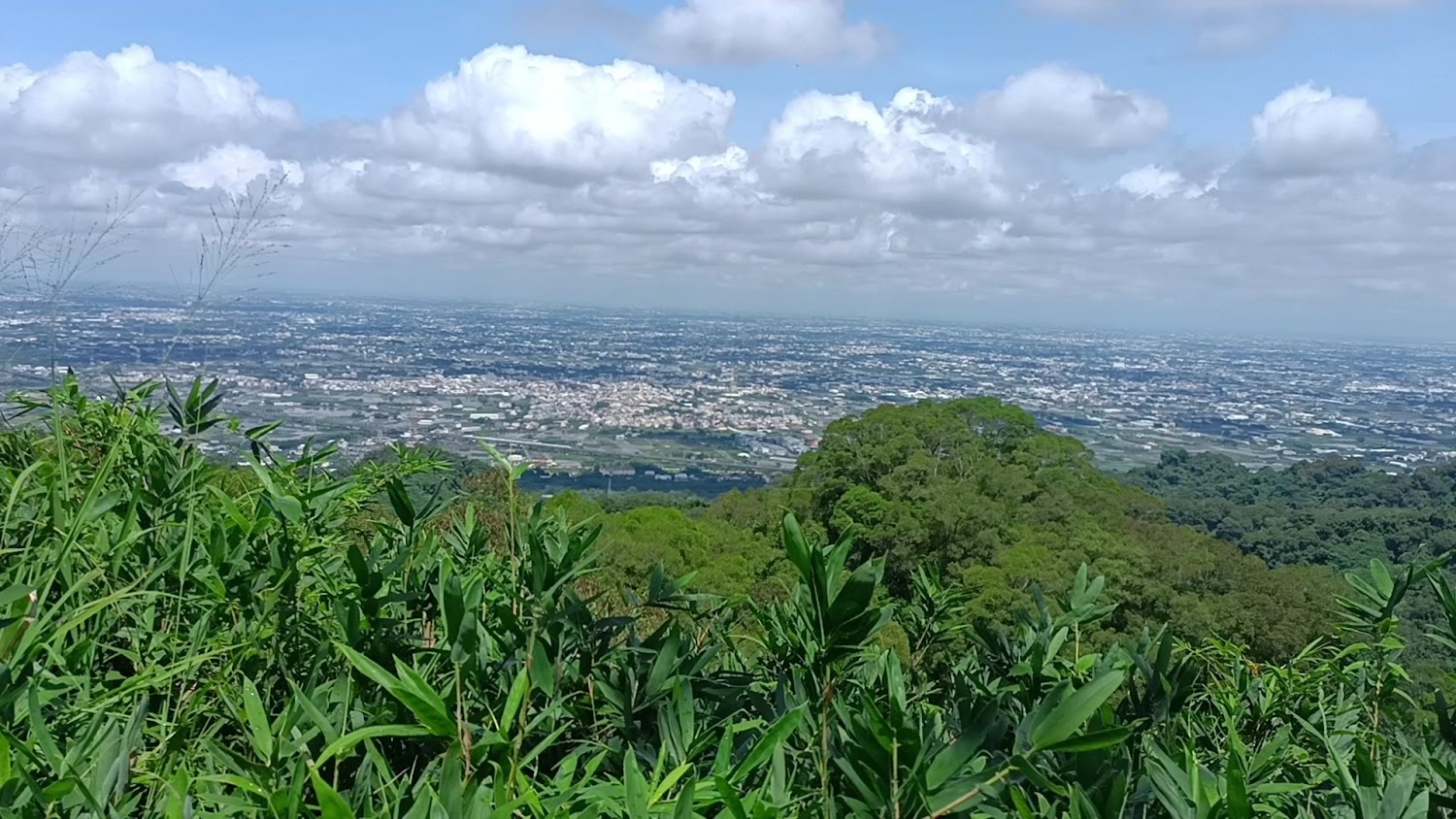 高處遠望城市與農田的寬闊景色