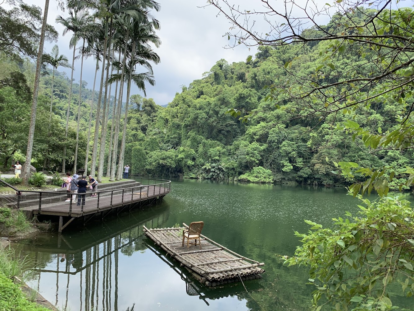 被綠樹環繞的後慈湖湖景與棧道