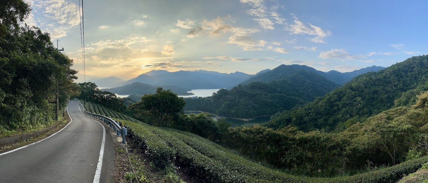 八卦茶園景觀台附近公路茶園湖景全景