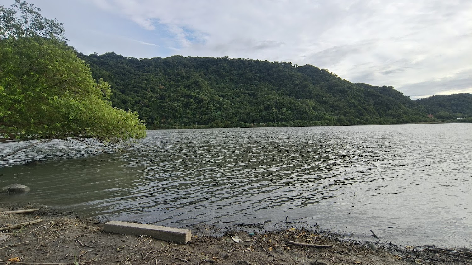 鶯歌山水步道湖畔山景