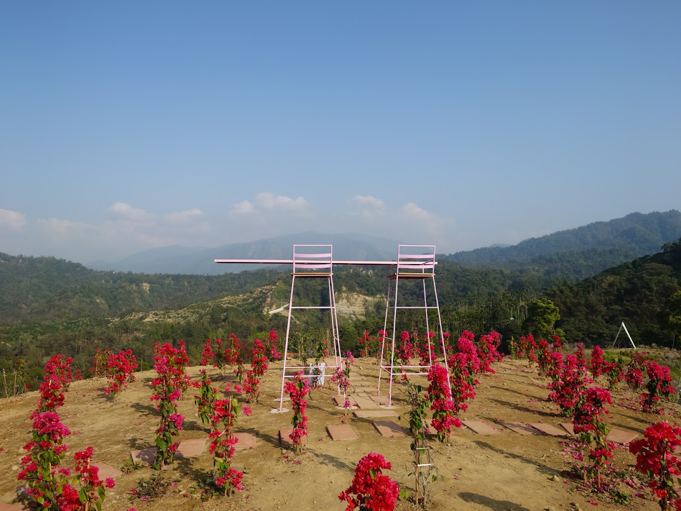 有風的地方森林療癒咖啡山坡花景與高腳椅