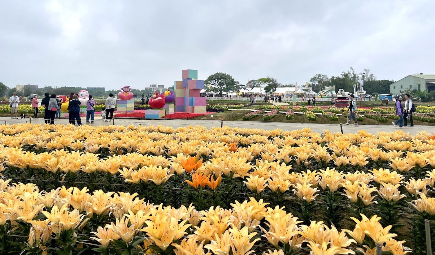 溪海花卉農遊趣春季展區花海與活動人潮