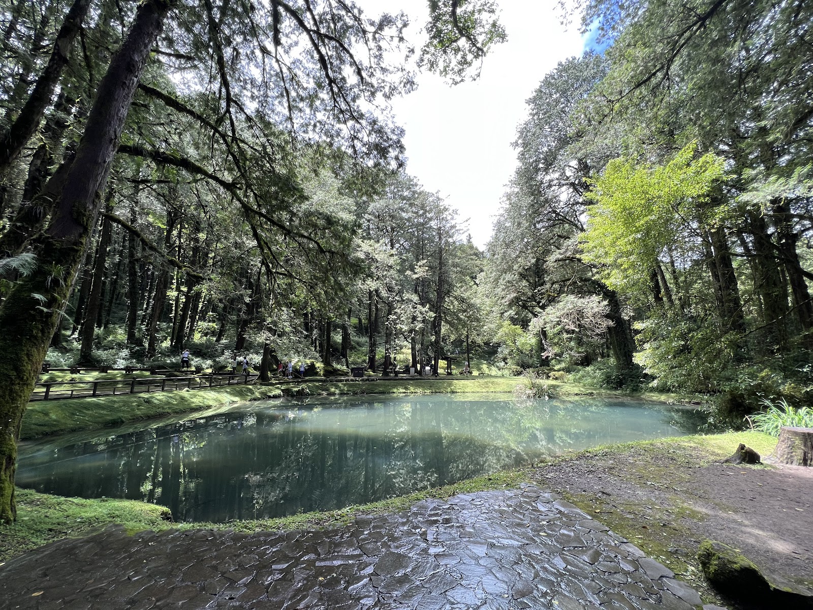 阿里山姊妹潭靜謐藍綠色湖水倒影