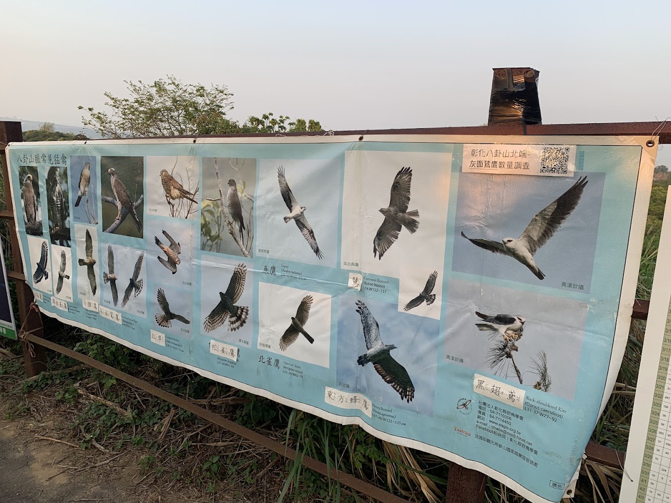 介紹各種猛禽的看板與賞鷹資訊