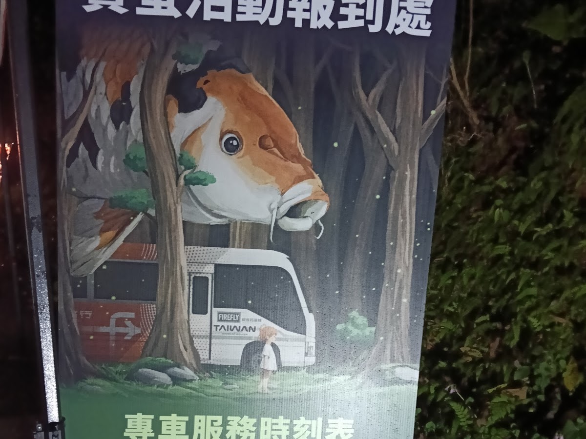 鯉魚潭賞螢活動報到海報，顯示專車服務時刻表與魚形夜晚插畫