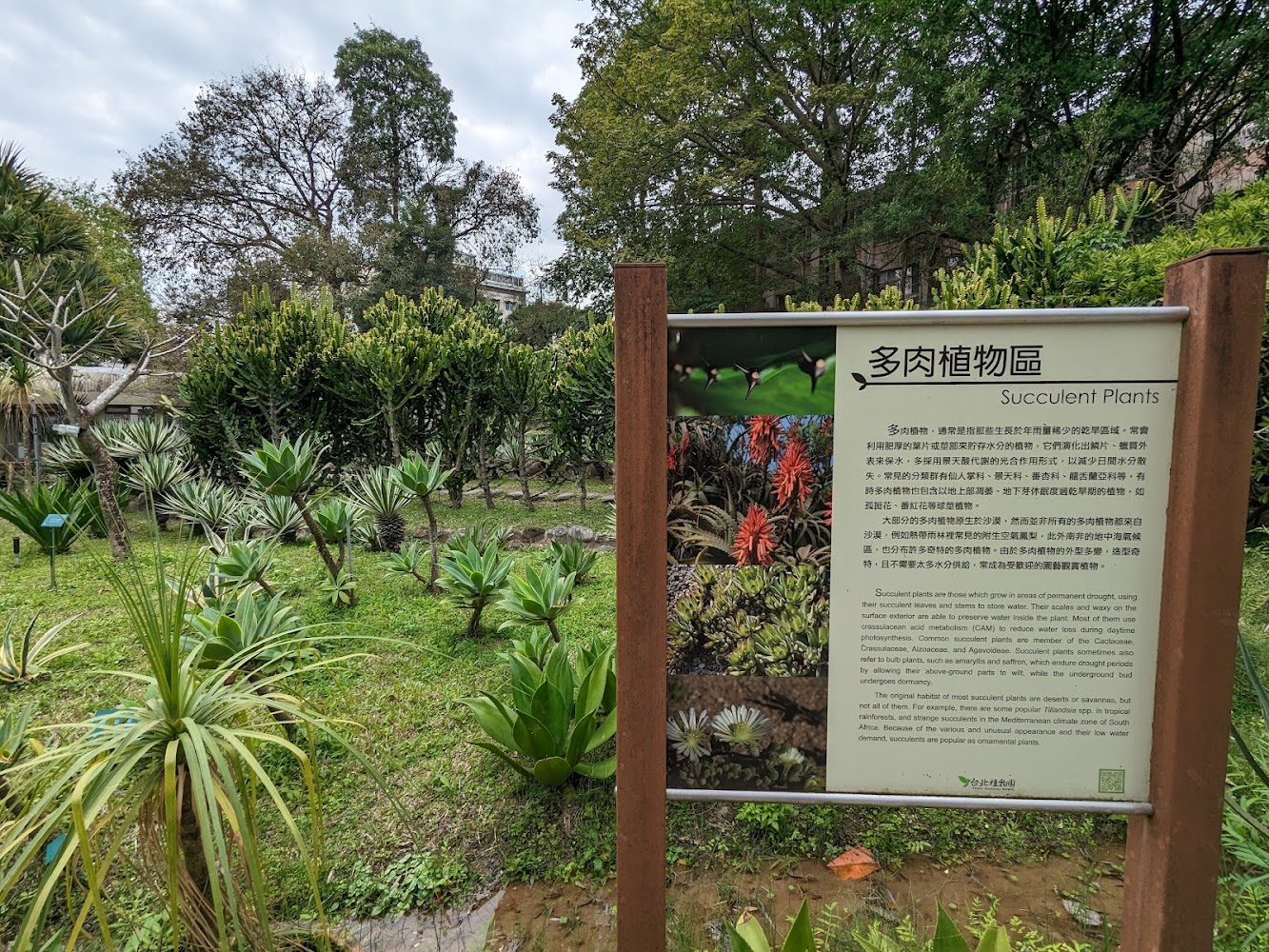 台北植物園多肉植物區解說牌與植栽